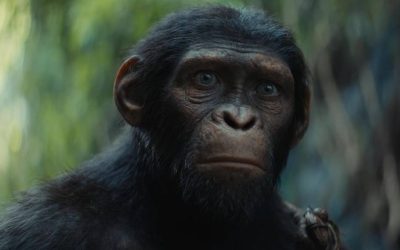 Planeta dos Macacos O Reinado – A saga continua!